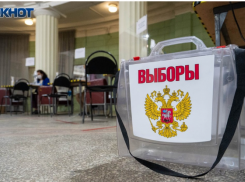 Названа дата голосования на сентябрьских выборах в Воронежской области