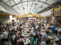 Павел Сиротин: «Нам всем стоит чаще играть в шахматы!»