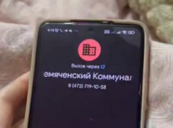 "Мы не милиция, чтобы проводить расследования», – ответ коммунальщиков удивил воронежцев