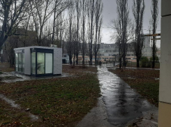 Похоронная атрибутика на входе школы возмутила воронежцев 