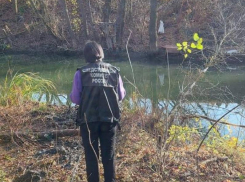 Машина с ребенком и его отчимом утонула в Воронежской области — мама чудом спаслась