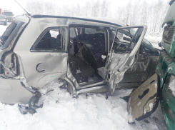 Двое погибли и один воронежец пострадал в страшном ДТП с легковушкой и фурой 