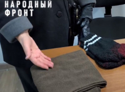 «Все для Победы!»: как воронежская пенсионерка вяжет теплые вещи бойцам СВО