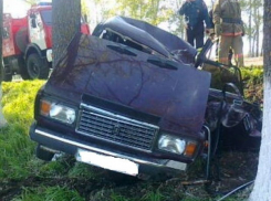 В Воронежской области Лада протаранила дерево: водитель погиб (ФОТО)