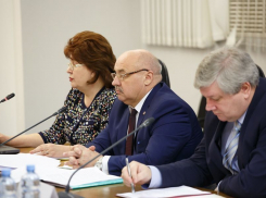 Воронежские власти согласовали все детали создания ОЭЗ с Минэкономразвития