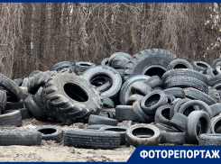 Как выглядит головная боль чиновников на 9 млн рублей в Воронеже 