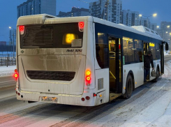 Общественный транспорт обновили на маршрутах, идущих через воронежское Шилово