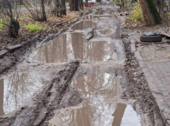 «Восстание грязевого монстра» заметили в воронежском дворе