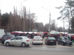 Превращение парка в логово торговцев показали в Воронеже