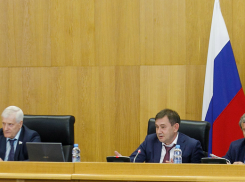 Названы точные расходы на содержание Нетёсова и других депутатов Воронежской облдумы