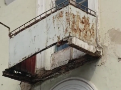 Кот рухнул вниз вместе с провалившимся балконом в Воронеже 