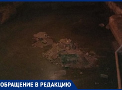 О доме-отшельнике с болотом сообщили воронежцы 
