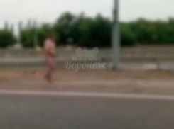Променад голого мужчины под дождём сняли на видео воронежцы 