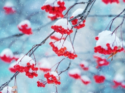 Синоптики рассказали, когда зима полностью вступит в свои права в Воронеже