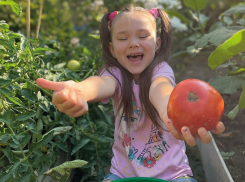Главный секрет щедрого урожая – правильный выбор семян