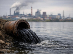 Нормы превышены в 20 раз: токсичные ливневки привлекли внимание воронежской прокуратуры