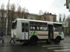 Полиция нашла больше 150 поломок и нарушений в 260 воронежских маршрутках