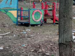Детскую площадку как из фильма ужасов показали в Воронеже