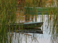 В Воронеже в Шилово нашли труп 64-летней пенсионерки