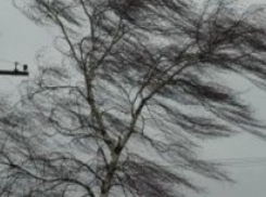 МЧС: 28 марта ожидается резкое изменение погоды