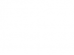 В меру мир. Воронеж обновил повестку Русской весны-2016