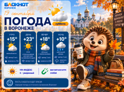 Самое время прогуляться: прогноз погоды в Воронеже