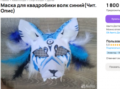 Сколько стоит стать квадробером в Воронеже