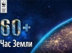 Воронежская область присоединится к международной акции «Час Земли»