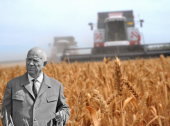 Второй привет Хрущева: в Воронежской области увеличат площади посева под кукурузу 