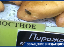 Пирожковый таракан попал в объектив смартфона и отвадил девушку от воронежской пекарни 