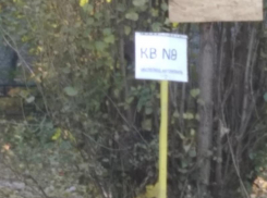 Это мое, я застолбил: как воронежцы решили сделать парковку для «избранных»