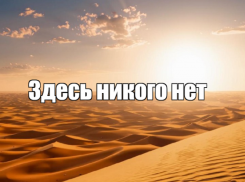 Назван топ-5 самых дефицитных профессий Воронежской области 