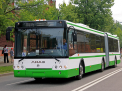 Воронежский перевозчик обновит свой парк 25 новыми автобусами за 11 миллионов рублей