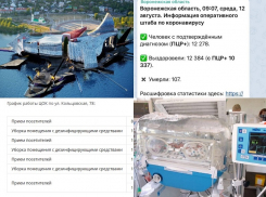Коронавирус в Воронеже 12 августа: +93 зараженных, еще одна смерть и рождение здорового ребенка