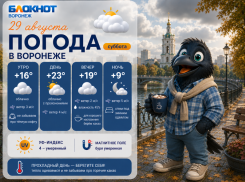 Летние капризы: прогноз погоды в Воронеже