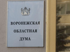 Воронежские депутаты предложили штрафовать за продажу вейпов и снюсов подросткам