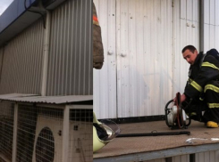 В Нововоронеже спасатели вызволили пять человек из загоревшейся аптеки