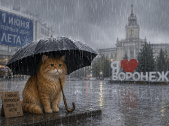 Какой погодой удивит первый день лета воронежцев 