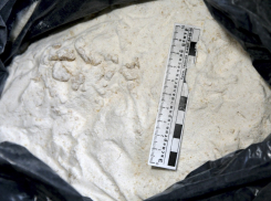 В Воронежской области задержали наркодилеров с героином на 5 миллионов рублей