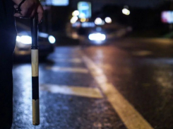 Воронежская ГИБДД срочно начала сплошные проверки водителей