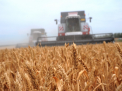 Воронежские чиновники снова сделали Covid-19 крайним