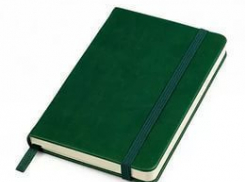 Зелёный Блокнот заработал. Ещё один адвокат задержан в Воронеже