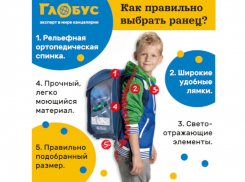 Как правильно выбрать рюкзак в школу, рассказали эксперты в Воронеже 