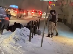 Двое воронежцев решили сразиться с людьми в форме по-новогоднему