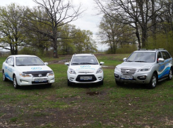 Китайский характер в Воронежской области