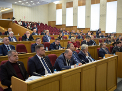 Депутаты переименовали «умственную отсталость» в воронежских школах