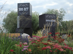 Никогда такого не было, и вот опять: мэрия Воронежа победила на фестивале «Город-сад»