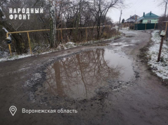 Сельскую дорогу размыло фекальными реками под Воронежем