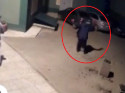 Женщину-Халка заметили за крушением двора в Воронеже 