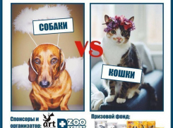 «Блокнот Воронеж» объявляет фотоконкурс в Инстаграм «Мой любимец»